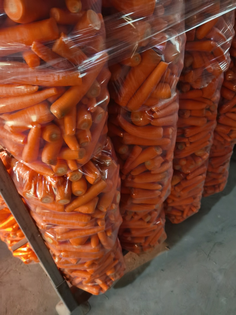 加工厂养殖场胡萝卜胡萝卜渣子土货次品胡萝卜