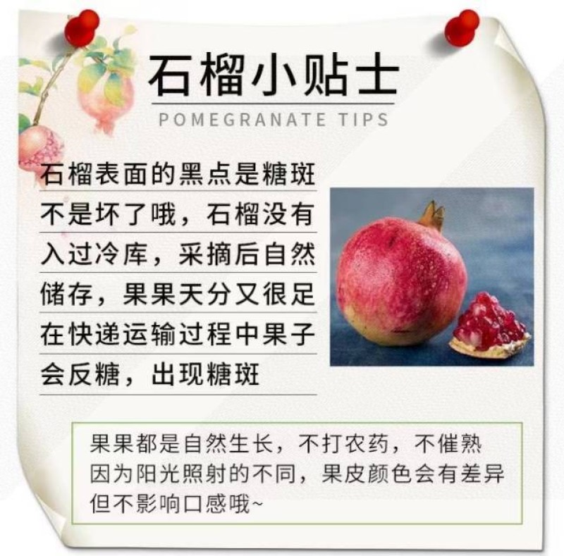 一件代发2024年新鲜四川云南突尼斯软籽石榴大果现采现发