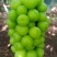 优质巨峰阳光玫瑰开园上市热卖中…价格美丽