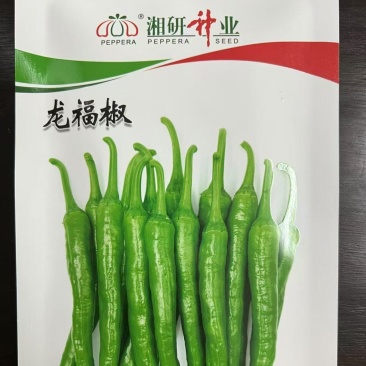 湘研龙福椒种子，早熟软皮，脆嫩香辣，综合抗性好
