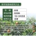 吉林八达~亨彩/丁香菌酯.代森联~柑橘疮痂病正品农药杀菌