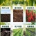 根果多微生物菌剂高活性菌10亿。根多果多。丰收多全国发货