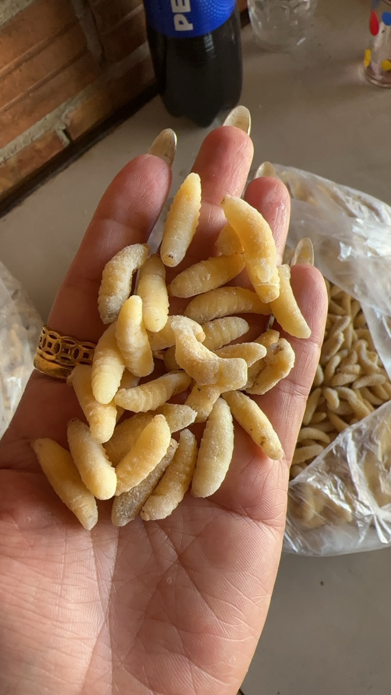 蜂蛹