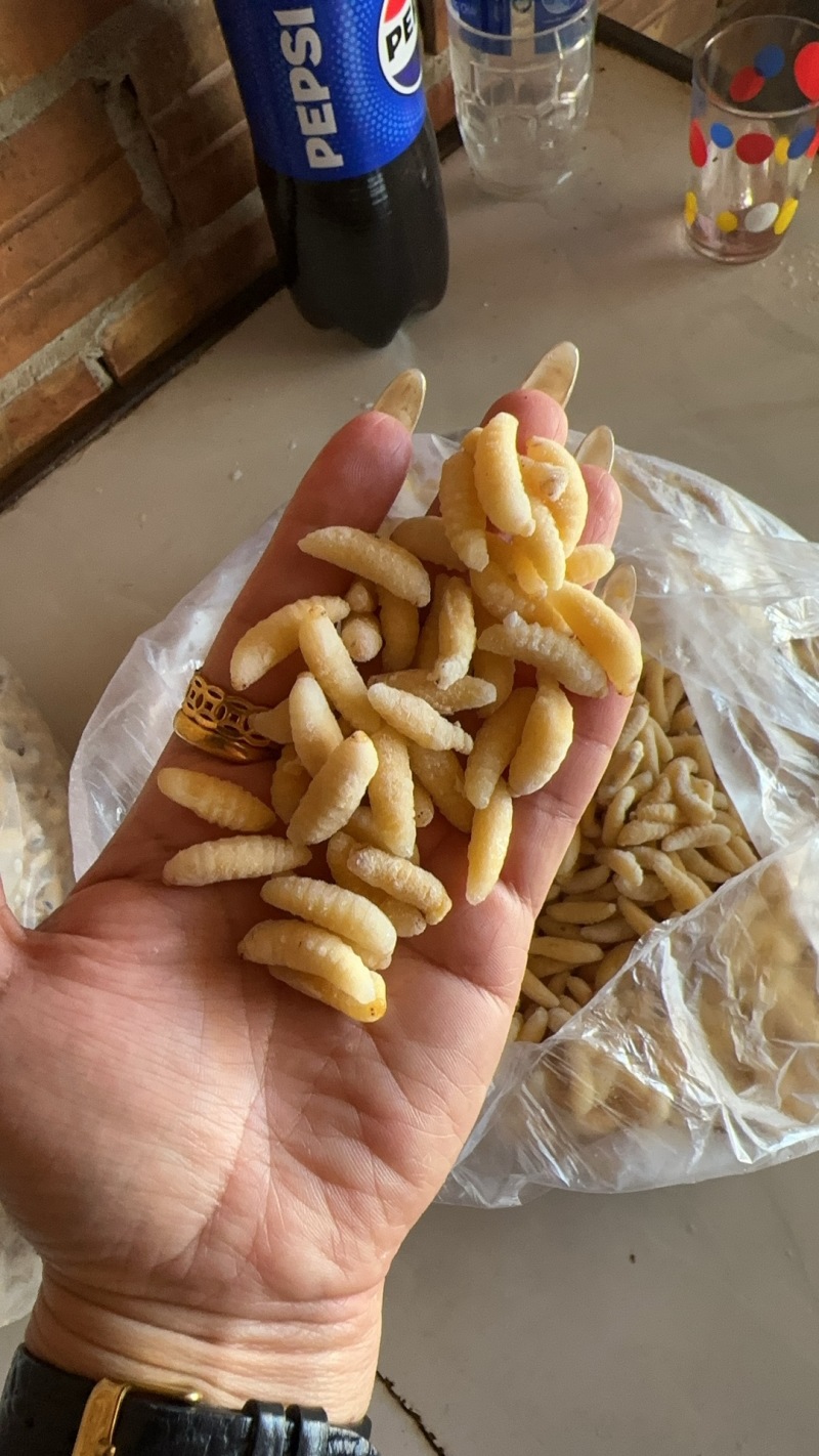 蜂蛹