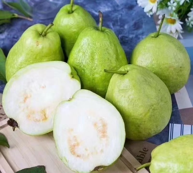 广西白心芭乐番石榴大量现货供应规格齐全，视频看货代发全国