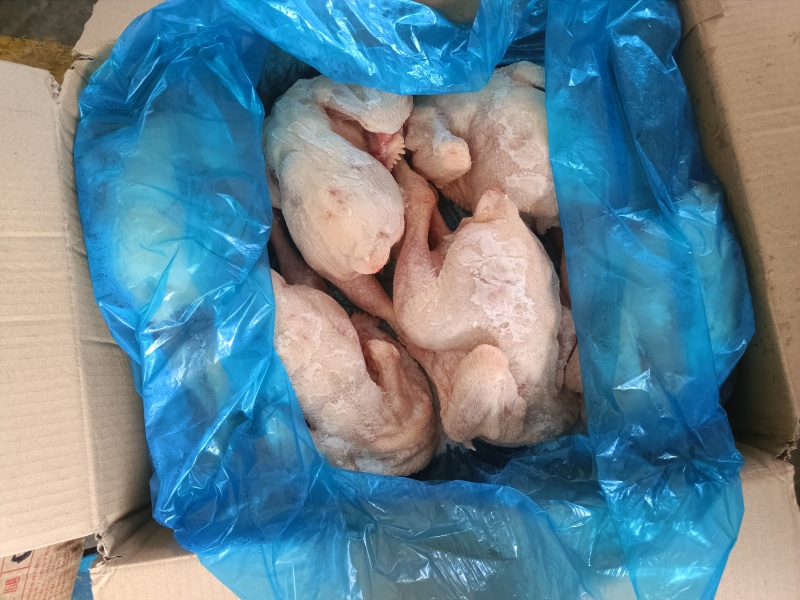 存货三黄鸡，工厂发货，资质都有。全国物流