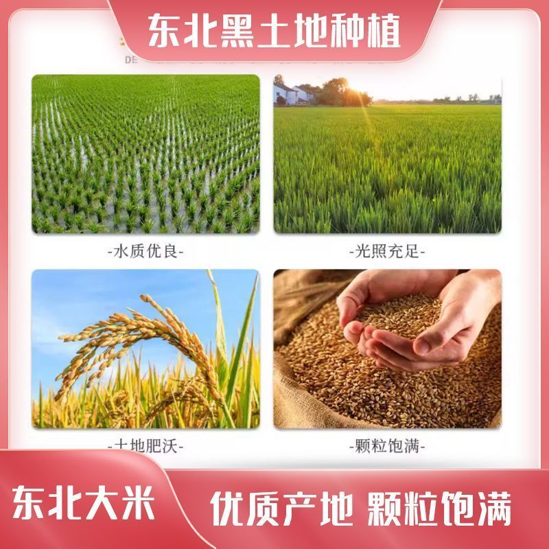 24年东北珍珠米1.76(市场价1.86)