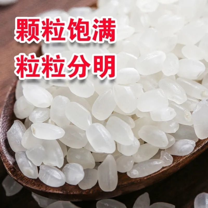 东北珍珠米现货10万吨