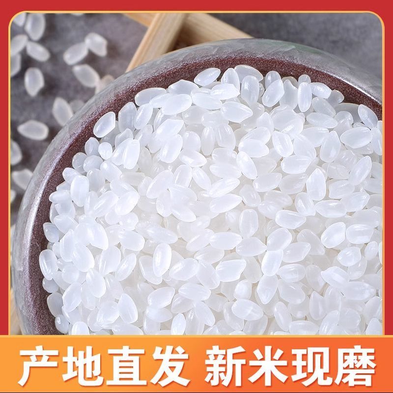 东北珍珠米现货10万吨