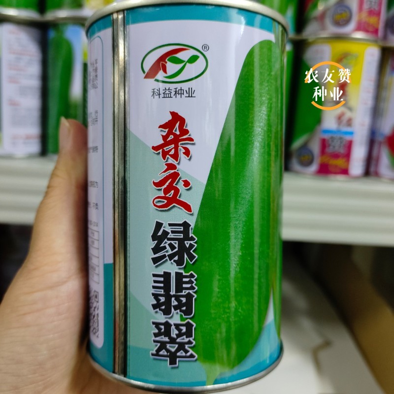杂交绿翡翠萝卜种子杂交水果萝卜种籽生吃脆甜皮薄绿皮绿肉