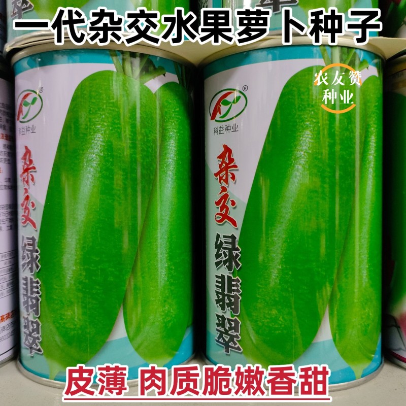 杂交绿翡翠萝卜种子杂交水果萝卜种籽生吃脆甜皮薄绿皮绿肉