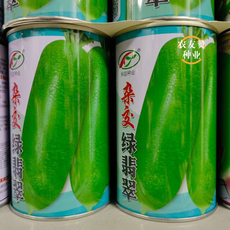 杂交绿翡翠萝卜种子杂交水果萝卜种籽生吃脆甜皮薄绿皮绿肉
