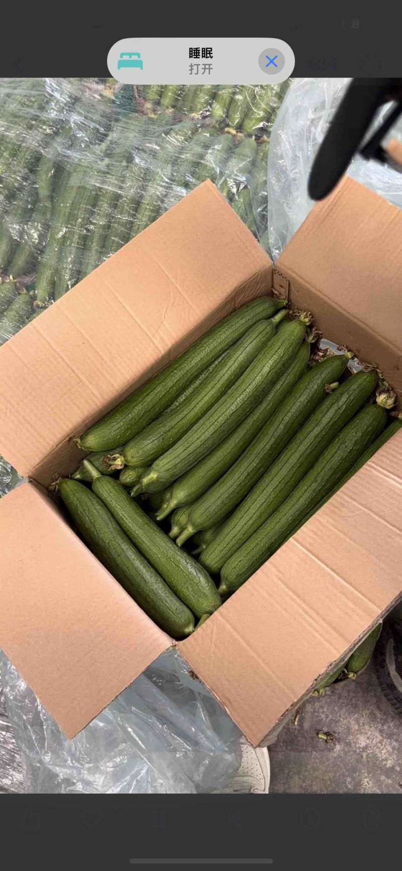 精品丝瓜