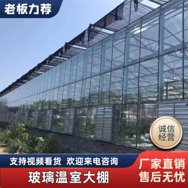 玻璃温室、连栋薄膜温室、阳光板温室设计、安装施工等