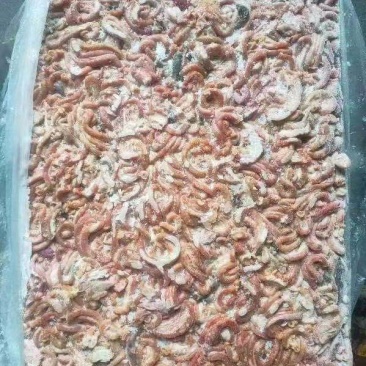 饲料鸡肠，817鸡肠，鸡混肠，养鱼专用，