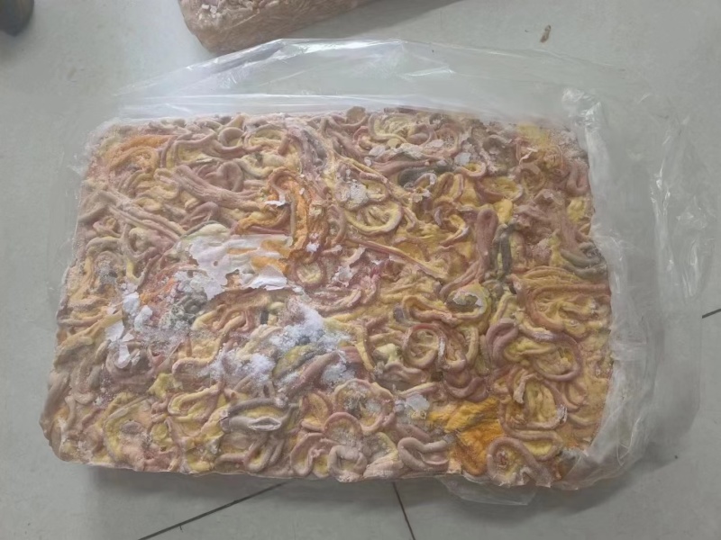 饲料鸡肠，817鸡肠，鸡混肠，养鱼专用，