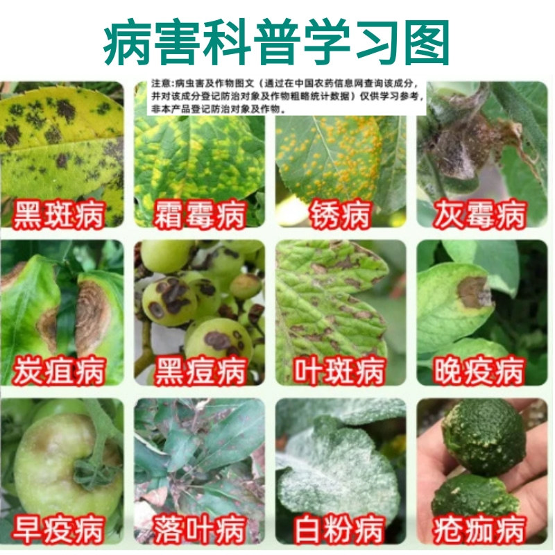 鑫星40%百菌清番茄早疫病农药杀菌剂预防保护悬浮剂微毒