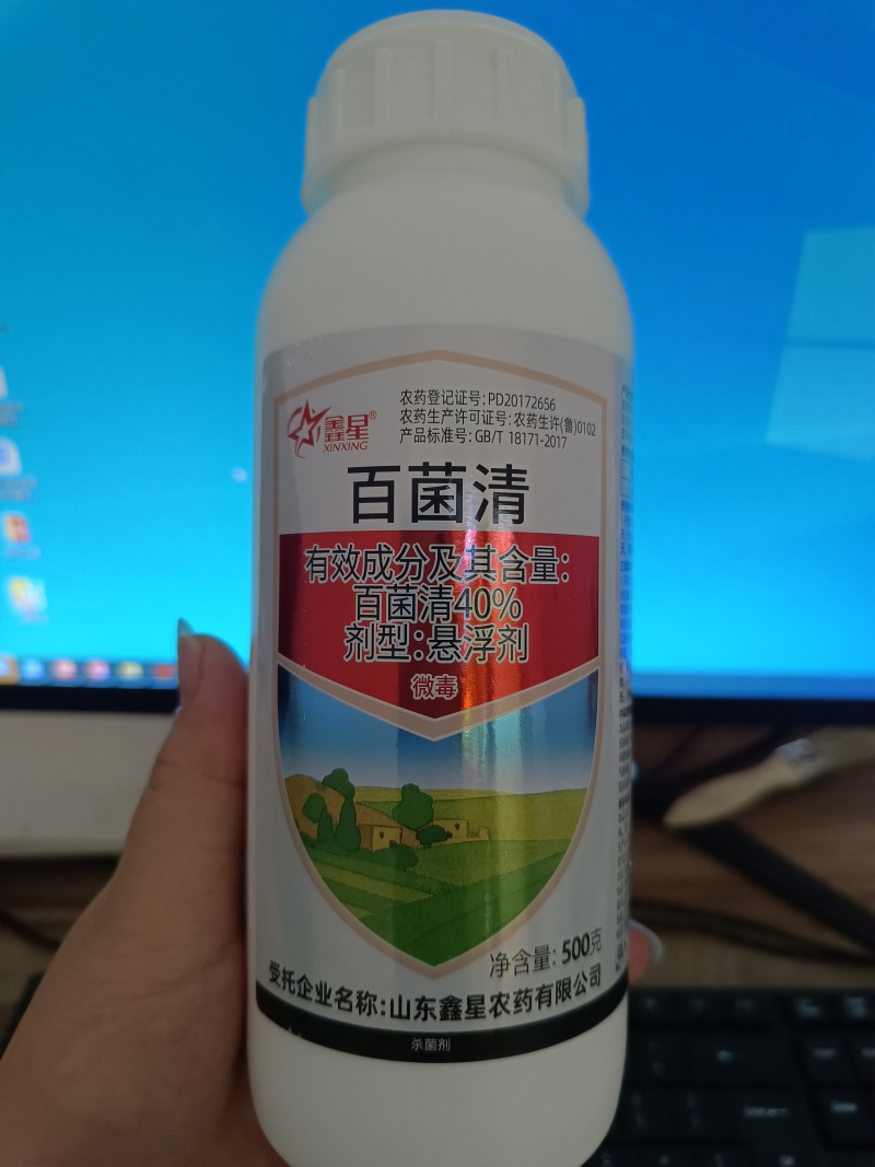 鑫星40%百菌清番茄早疫病农药杀菌剂预防保护悬浮剂微毒