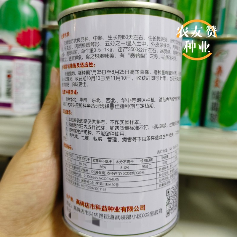 天津正宗沙窝萝卜种子质细味甜有赛鸭梨之称水果萝卜种子