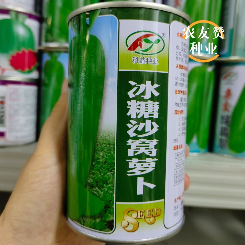 天津正宗沙窝萝卜种子质细味甜有赛鸭梨之称水果萝卜种子
