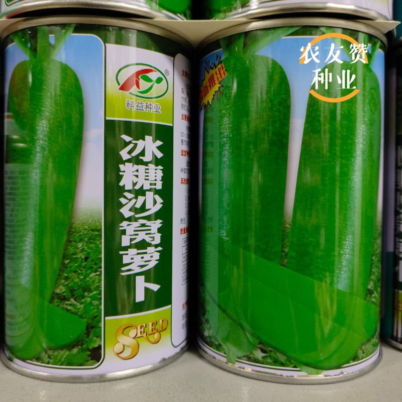 天津正宗沙窝萝卜种子质细味甜有赛鸭梨之称水果萝卜种子