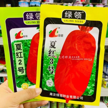绿领夏红2号萝卜种子夏红3号萝卜种子红皮萝卜种籽耐热早熟