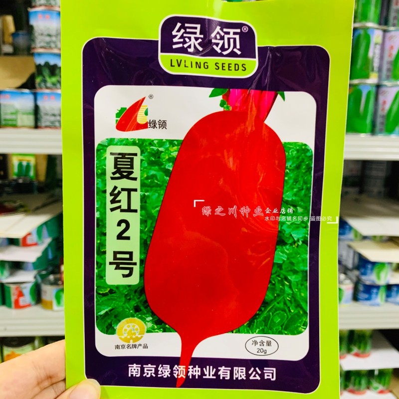 绿领夏红2号萝卜种子夏红3号萝卜种子红皮萝卜种籽耐热早熟