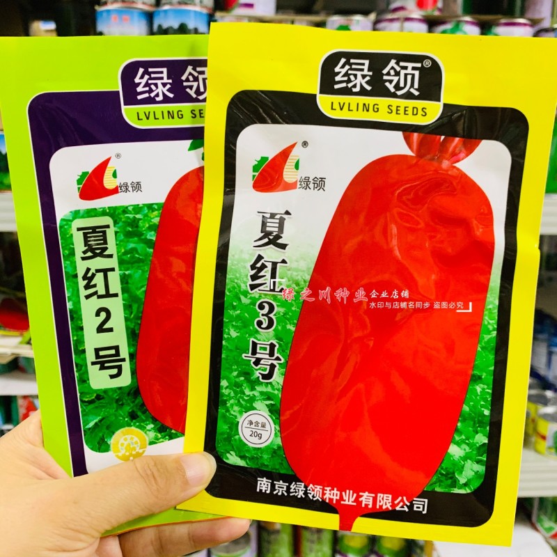 绿领夏红2号萝卜种子夏红3号萝卜种子红皮萝卜种籽耐热早熟