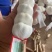 山东大蒜,白皮大蒜产地直发价格便宜质量保证