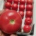 好吃的柿子全天有货量大供应随到随装，需要的联系苏姐