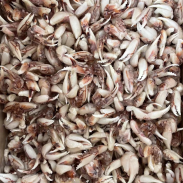 [捞汁沙蟹钳原料]连云港沙蟹钳生鲜原料捞汁小海生腌蟹钳