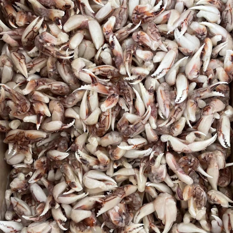 [捞汁沙蟹钳原料]连云港沙蟹钳生鲜原料捞汁小海生腌蟹钳