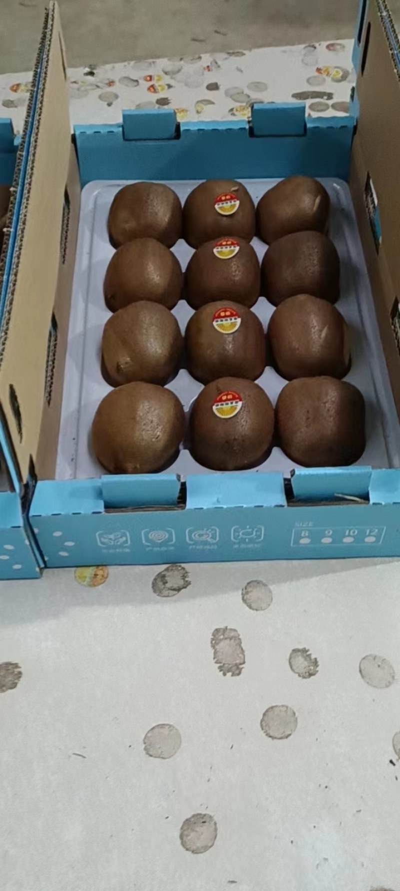 徐香猕猴桃翠香猕猴桃都有欢迎来咨询