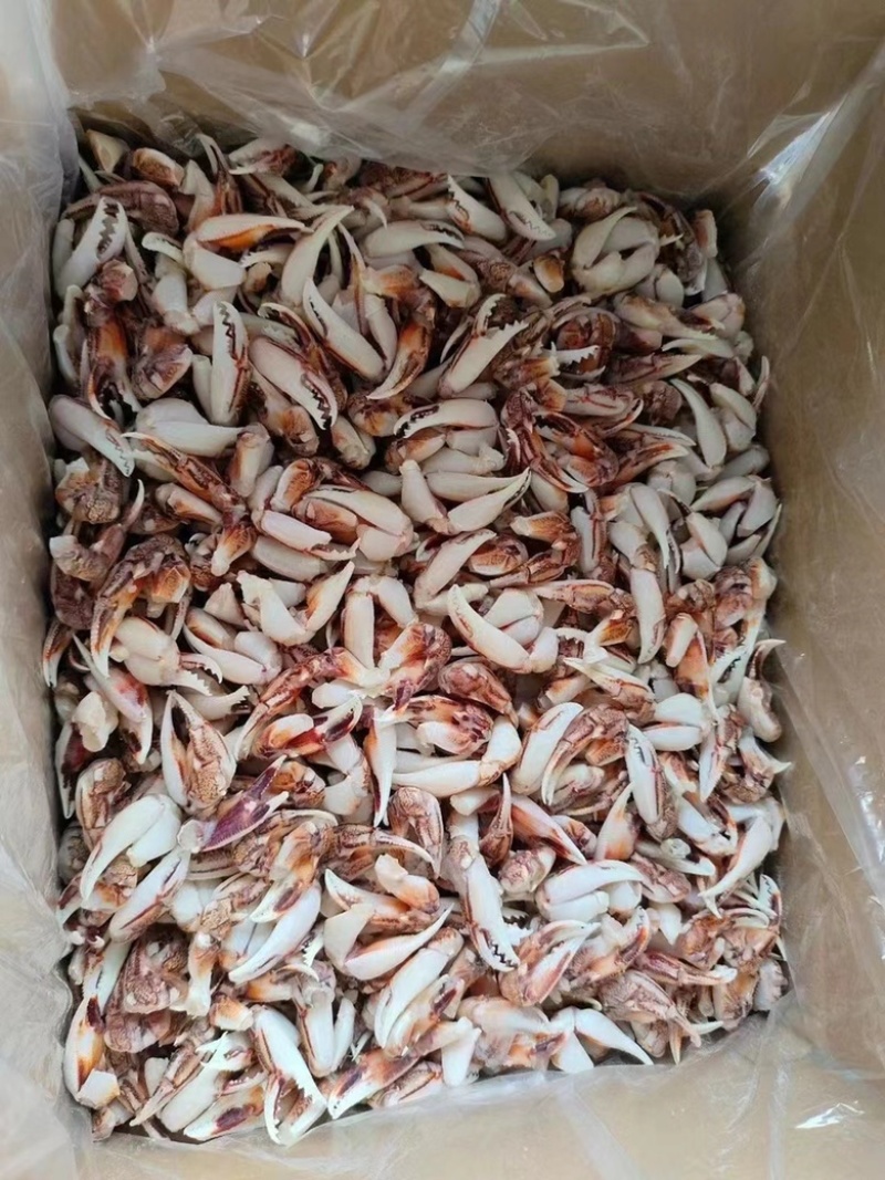 [捞汁沙蟹钳原料]连云港沙蟹钳生鲜原料捞汁小海生腌蟹钳
