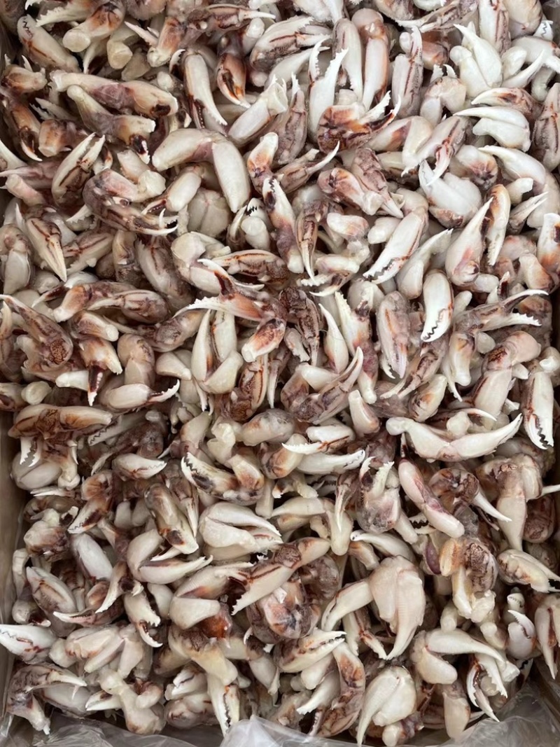[捞汁沙蟹钳原料]连云港沙蟹钳生鲜原料捞汁小海生腌蟹钳