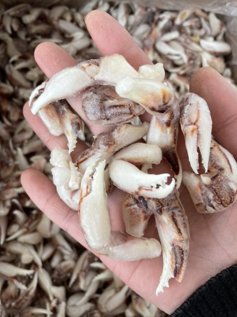 [捞汁沙蟹钳原料]连云港沙蟹钳生鲜原料捞汁小海生腌蟹钳