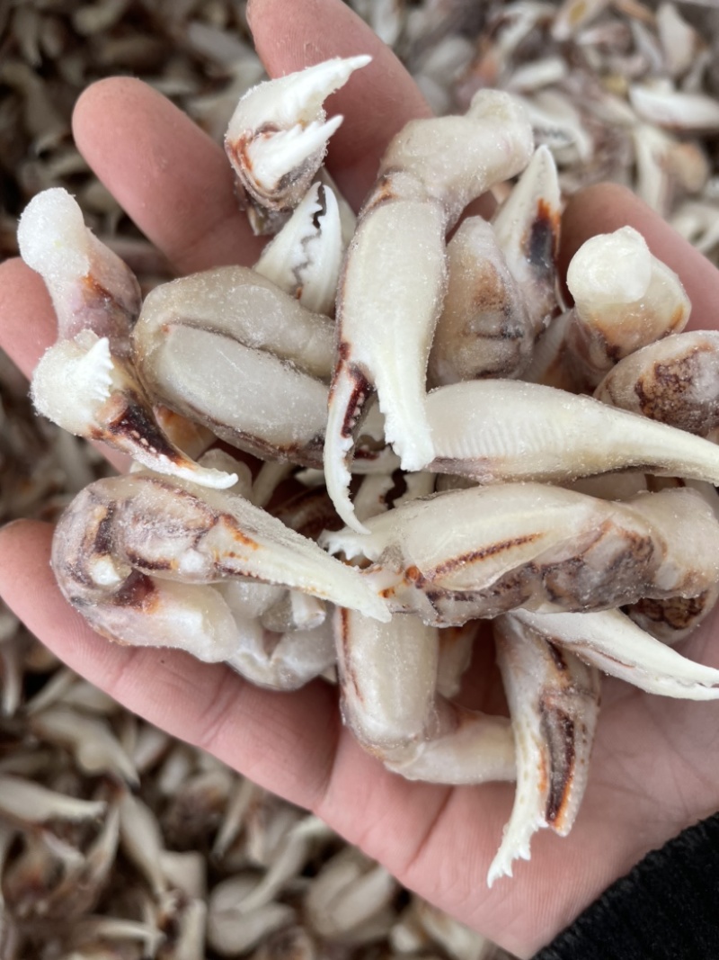 [捞汁沙蟹钳原料]连云港沙蟹钳生鲜原料捞汁小海生腌蟹钳