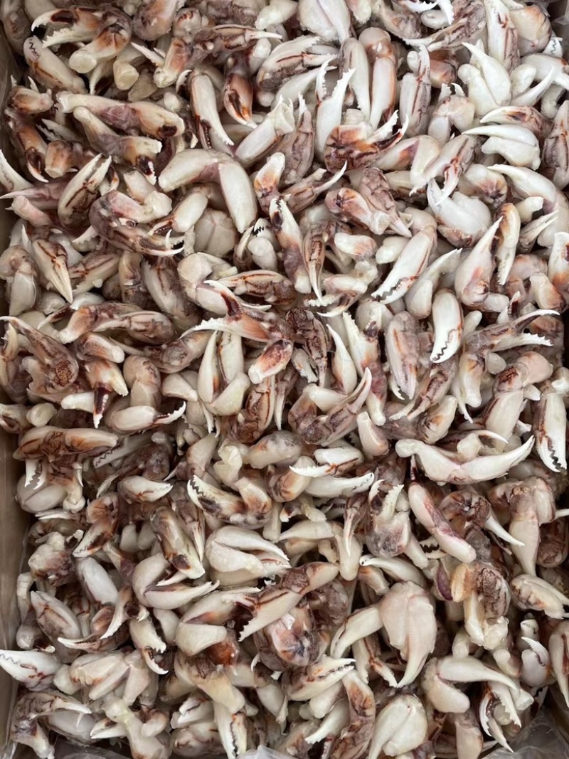 [捞汁沙蟹钳原料]连云港沙蟹钳生鲜原料捞汁小海生腌蟹钳