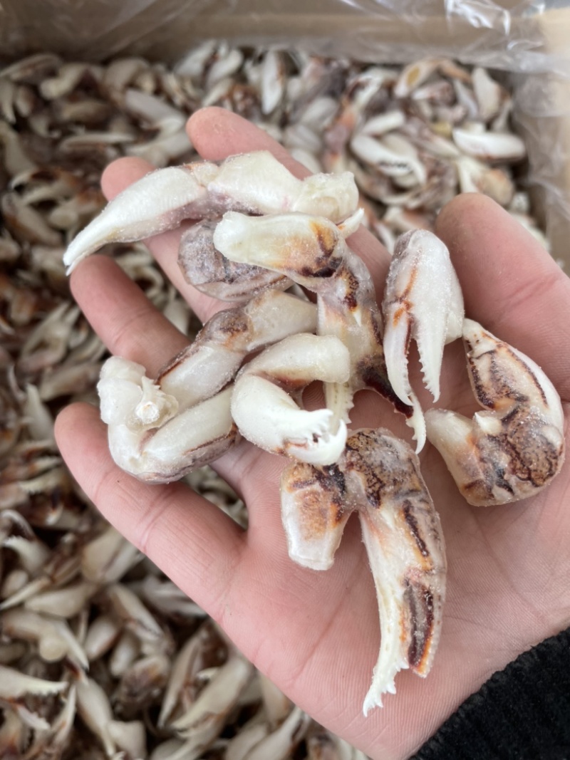 [捞汁沙蟹钳原料]连云港沙蟹钳生鲜原料捞汁小海生腌蟹钳