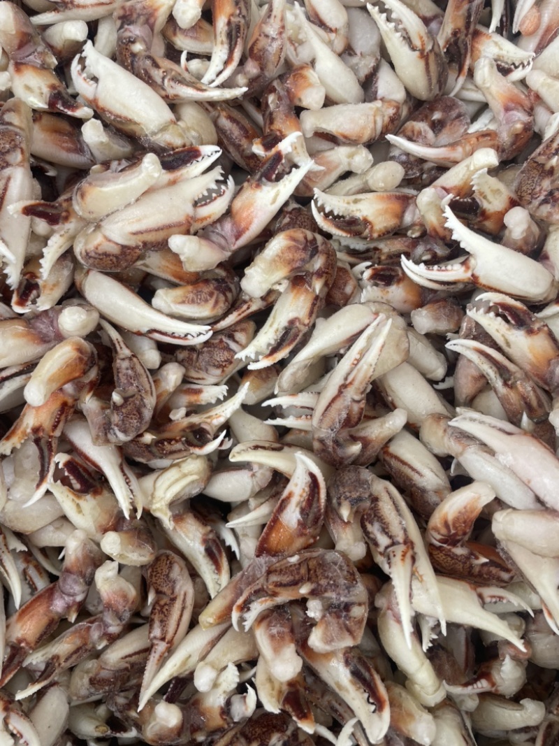 [捞汁沙蟹钳原料]连云港沙蟹钳生鲜原料捞汁小海生腌蟹钳