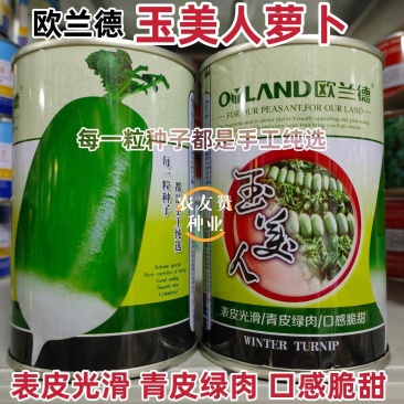 欧兰德玉美人萝卜种子青皮绿肉萝卜种籽脆甜青萝卜种子秋萝卜