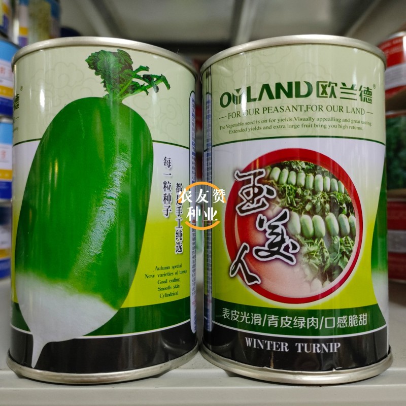 欧兰德玉美人萝卜种子青皮绿肉萝卜种籽脆甜青萝卜种子秋萝卜