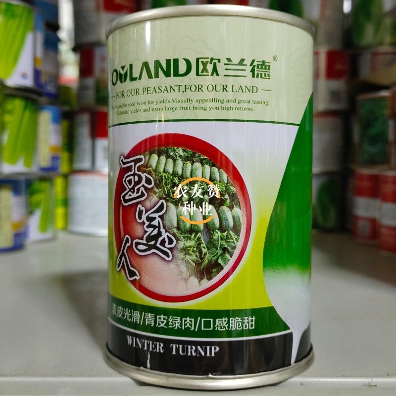 欧兰德玉美人萝卜种子青皮绿肉萝卜种籽脆甜青萝卜种子秋萝卜
