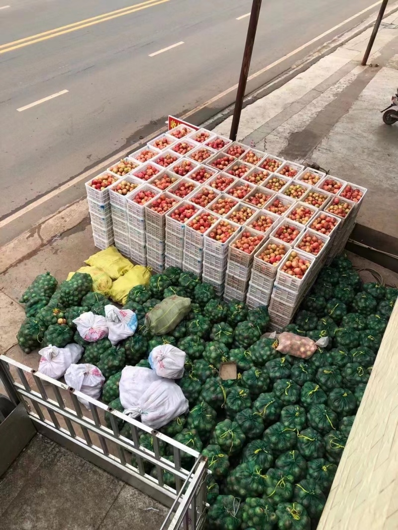 突尼斯软籽石榴饮料果