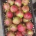 突尼斯软籽石榴饮料果