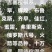 秋后一根棍大樱桃，花呀满满的，吉塞拉根系美早，辉煌