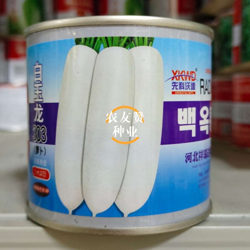 韩国引进杂交白萝卜种子白玉龙303萝卜种籽圆筒形表皮光滑