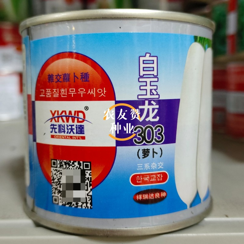 韩国引进杂交白萝卜种子白玉龙303萝卜种籽圆筒形表皮光滑