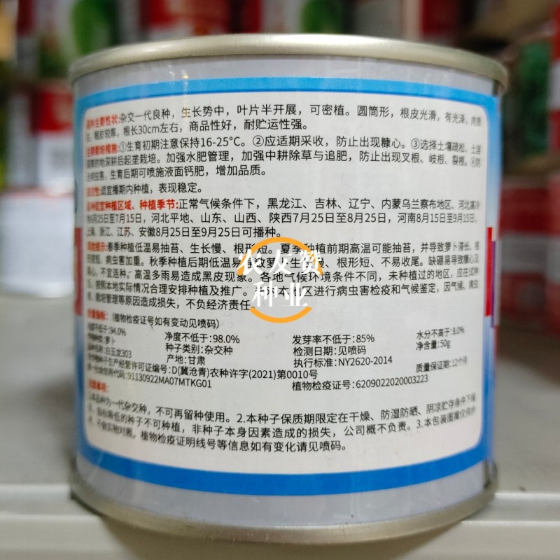 韩国引进杂交白萝卜种子白玉龙303萝卜种籽圆筒形表皮光滑
