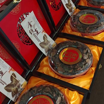 金线莲茶，精品包装，礼品包装，批发零售都卖，欢迎咨询下单